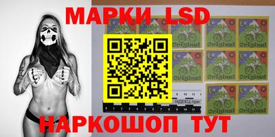 шишки Северобайкальск
