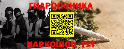 шишки Северобайкальск