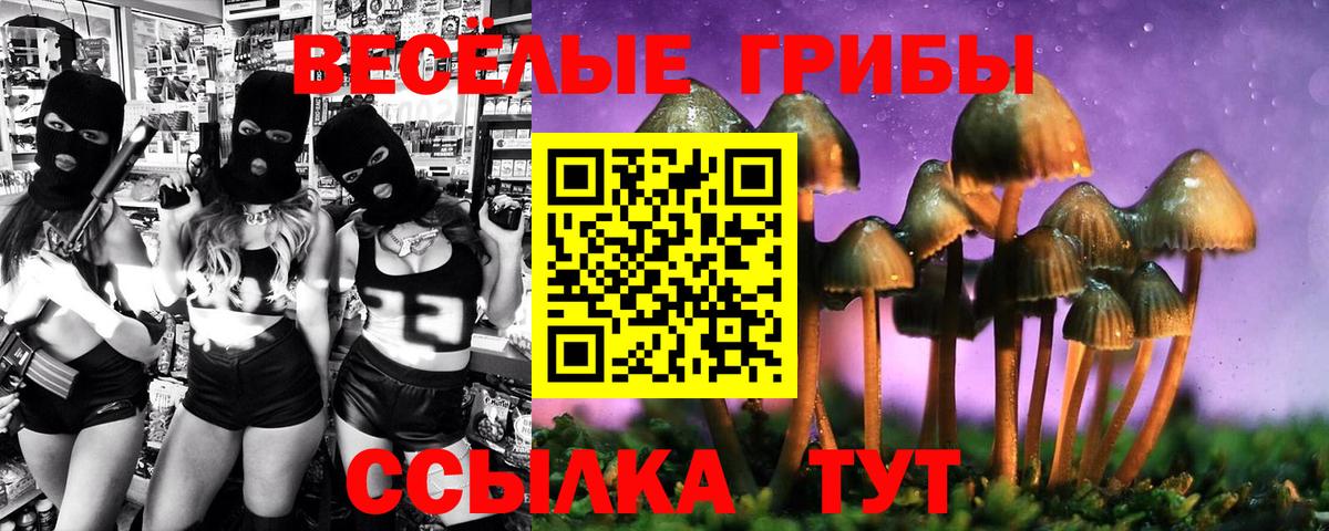 Псилоцибиновые грибы MAGIC MUSHROOMS Новочеркасск